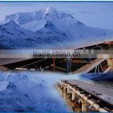 Cold Resistant Conveyor Belts Used in Frozen Area/ Cold Storage thumbnail-1