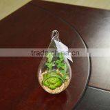 Hanging Glass Terrarium Necklace Decorative Succulent Plants Tropical Plants thumbnail-1