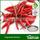 Organic pure natural capsicum extract capsaicin powder pure capsaicin