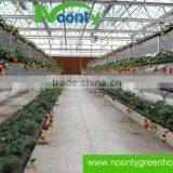 Strawberry Gutter thumbnail-2