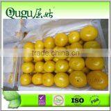 Mandarine orange price