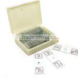 Biology Prepared Slides for Kids on Sale