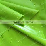 ECO-friendly Chromatic TPU Film thumbnail-2