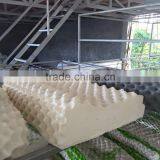 Natural Latex Pillow Thailand thumbnail-6
