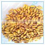 New Season Fresh IQF Frozen Silkworm thumbnail-6