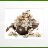 High Quality Chinese Paulownia Elongata Seed/Paulownia Tomentosa Seeds/Paulownia Seed For Planting