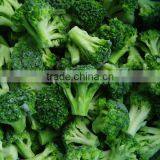 Frozen Broccoli With Best Price, Frozen Vegetable thumbnail-4
