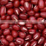 High Quality Vietnam Red Bean for Sale thumbnail-1