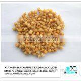 Dried Frozen Scallops