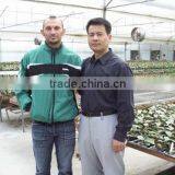 Zhangzhou Xiangcheng Greenhome Horticulture Co., Ltd. company overview - view 3 thumbnail