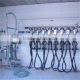 Simple Barn Milking Parlor System for Dairy Farm