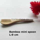 Bamboo mini spoon