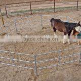 Temporary Cattle Fence Panels thumbnail-2