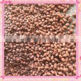 Where to Buy Expanded Clay Balls(LECA),the Best Quality thumbnail-2