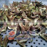 Induatrial Garlic Dehydrator Drying Machine thumbnail-3