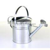 Metal Galvanised Steel Watering Can 9 Litre Garden Water Plants Green Cream Galvinised (Silver) thumbnail-2