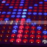 2016 Update 14w 225 Chips SMD Led Grow Lights thumbnail-5