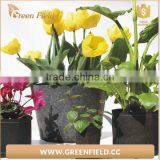 1,2,2.5,3,5,7,10 Gallon Nursery Fabric Flower Grow Bag thumbnail-1