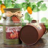 Mini Milk Bucket Style Flower Pot Country Side Metal Flower Planter thumbnail-2