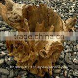Natural Tree Stump Pot Plant thumbnail-1