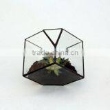 Stained Glass Small Cube Airplant Cactus Terrarium thumbnail-3