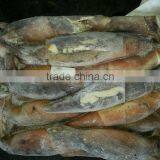 China Exporter Frozen Argentina Squid Illex Argentinus thumbnail-3