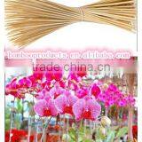 Bamboo Sticks for Sale thumbnail-1