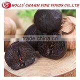 Organic Black Garlic Extract Pure Natural Black GarlicPowder thumbnail-2