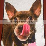 Custom Printed Animal Pattern Logo Carpet Throw Pet Products thumbnail-2