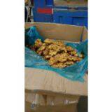China Fresh Ginger Wholesale thumbnail-2