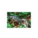 Sell Frog D thumbnail-1