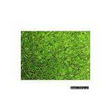 Landscape Turf thumbnail-1