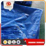 60gsm Pe Tarpaulin thumbnail-3