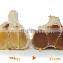 High Quality Black Garlic Fermenter Machines thumbnail-4