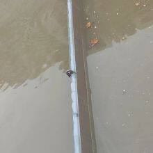 Adjustable Height Hydraulic Elevator Dam Store Water Irrigate Landscape Flood Control Sluice Dam Gate Water Quality Improvement thumbnail-5