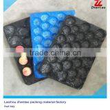 Plastic Tray Liners Under Piece Fruit for Apple Tomato Round Fruit for Williams Pear Kaiser Pears Avocado thumbnail-1