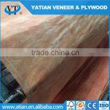 Grade ABCD 0.22-0.35mm Plywood Bintangor Veneer thumbnail-3