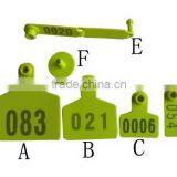 Ear Tag for Goat thumbnail-1