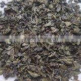 Export Tea From Professional Factory in China Gunpowder Green Tea 9175 thumbnail-3
