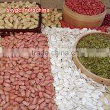 Home Garden Decorative 16.5ft Height Outdoor Artificial Green Flashing LED Solar Lighted up Date Palm Trees With Bark EDS06 1416 thumbnail-2