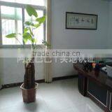 Jinan Angel CNC Equipment Co., Ltd. company overview - view 1 thumbnail