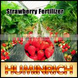 Huminrich Shenyang Increase Taste Huge Marketing Best Fertilizer For Strawberry