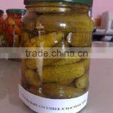PICKLED BABY CUCUMBER 3-6CM /720ML thumbnail-1
