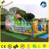 backyard slide for kids inflatable slide