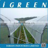 Used Commercial Greenhouse thumbnail-5