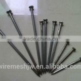 Best Quanlity Polished Common Iron Nails /15cm Iron Nail