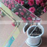 3mm Beveled Edge Glass/The Best Quality Customized Patterned Glass/photo Frame Glass