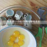 Stainless Steel Kitchen Abs Handle Quail Egg Scissors thumbnail-2