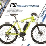 P2-ELECTRIC MOUNTAIN BIKE