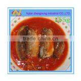 Food Products 155g Canned Mackerel Fish in Tomato Sauce(ZNMT0045)